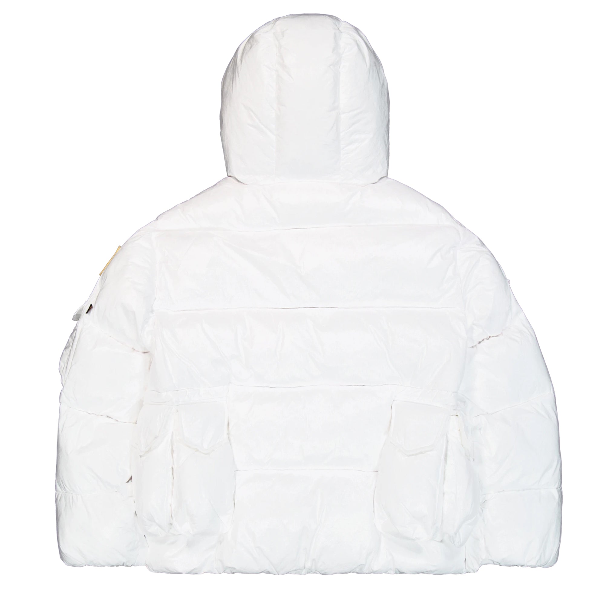 Nasa Puffer Artemis