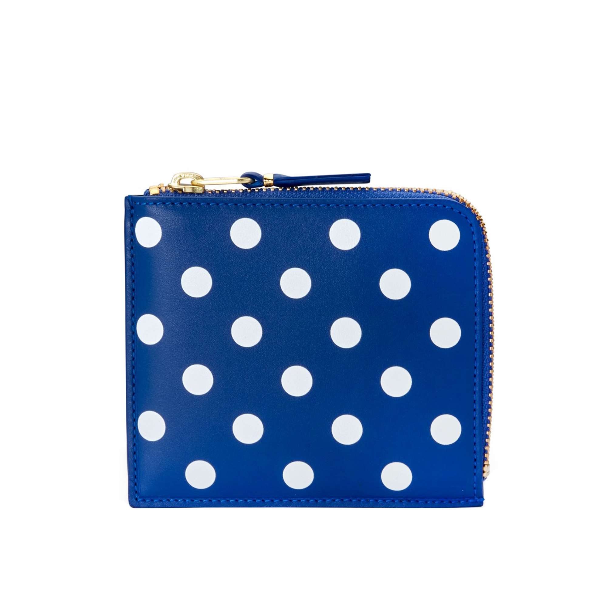 Polka Dots Printed Blue SA3100PD